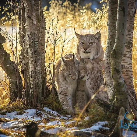 Langedrag Naturpark * Tunhovd