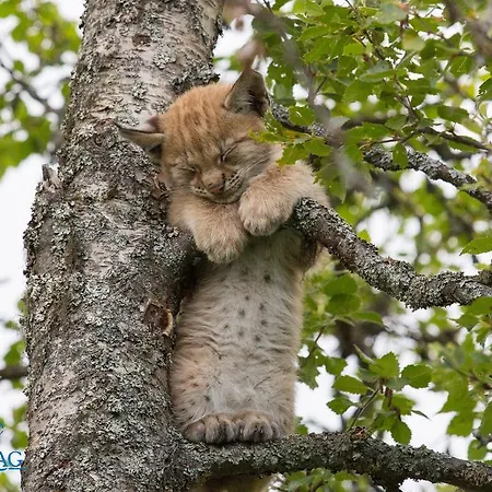 Langedrag Naturpark Agroturismo