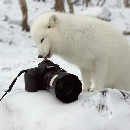 Agroturismo Langedrag Naturpark