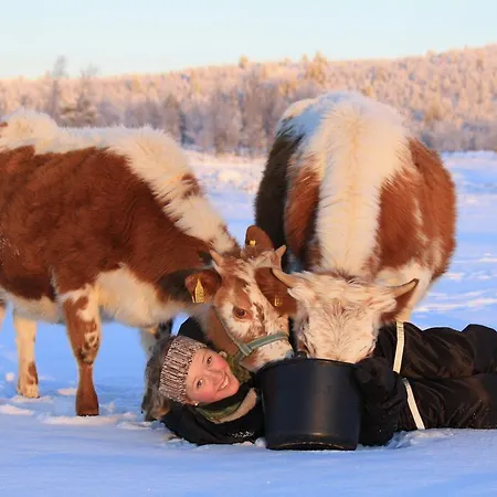 مزرعة للإقامة Langedrag Naturpark *
