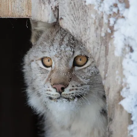 Langedrag Naturpark مزرعة للإقامة