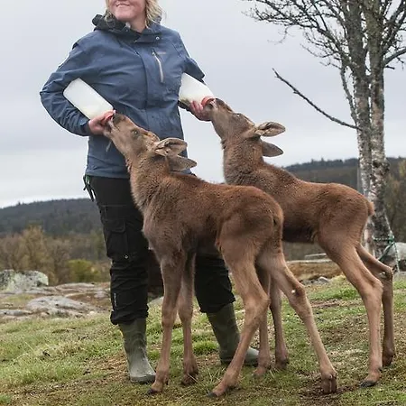 Langedrag Naturpark * Tunhovd