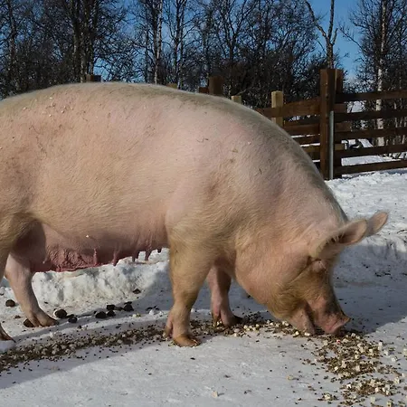Langedrag Naturpark * Tunhovd