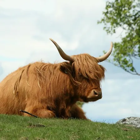 Langedrag Naturpark * Tunhovd