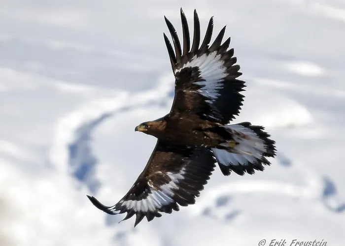 Langedrag Naturpark * Tunhovd