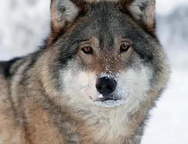 Langedrag Naturpark Feriegårder *