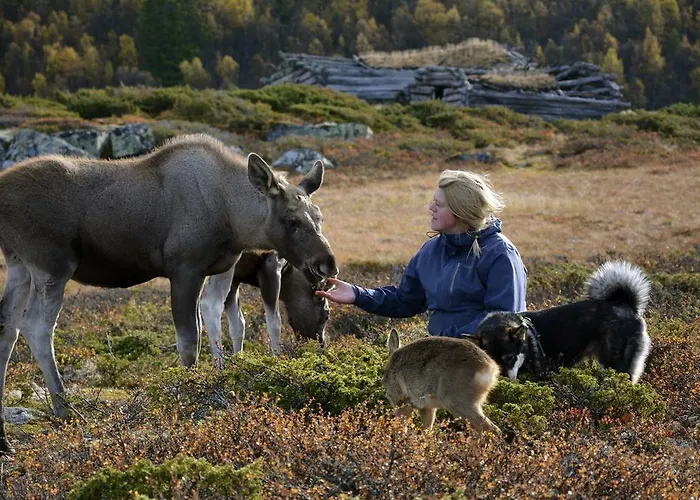 Langedrag Naturpark Feriegårder Tunhovd