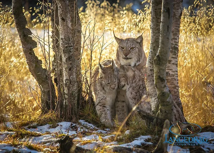 Langedrag Naturpark * Tunhovd