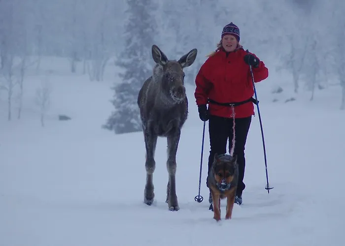 Langedrag Naturpark Feriegårder