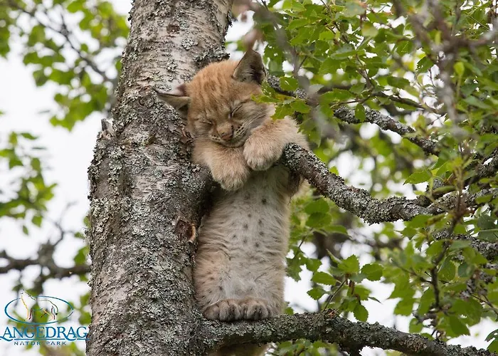 Langedrag Naturpark Feriegårder