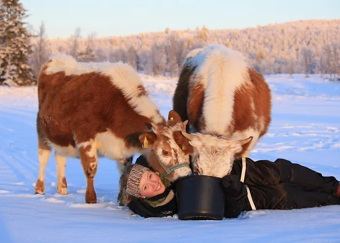 Feriegårder Langedrag Naturpark *