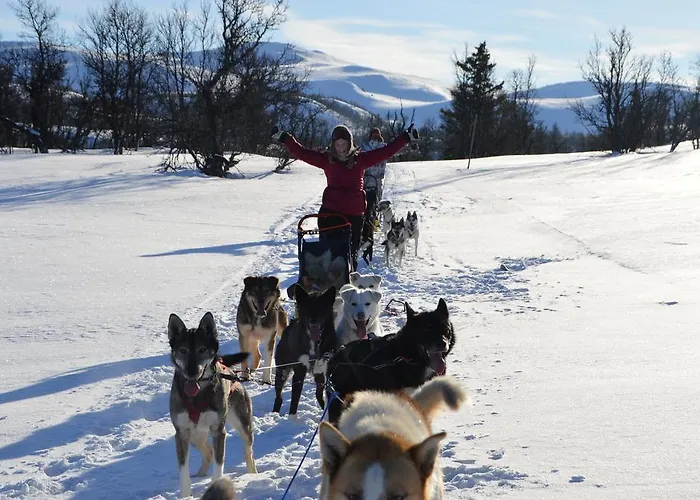 Feriegårder Langedrag Naturpark Tunhovd