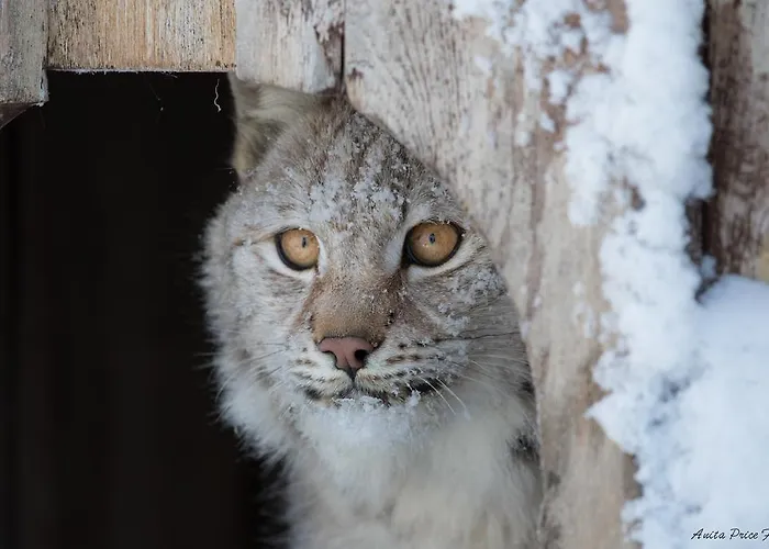 Langedrag Naturpark Feriegårder