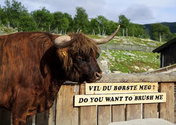 Feriegårder Langedrag Naturpark Tunhovd