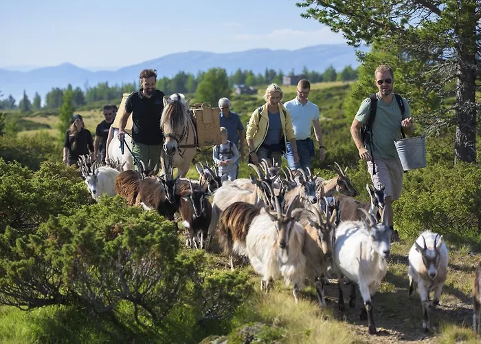 Langedrag Naturpark Feriegårder *
