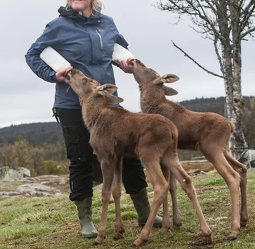 Langedrag Naturpark * Tunhovd