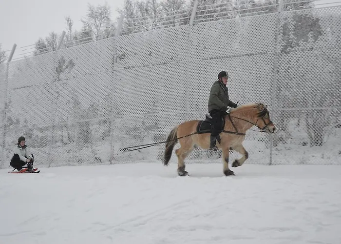 Feriegårder Langedrag Naturpark Tunhovd