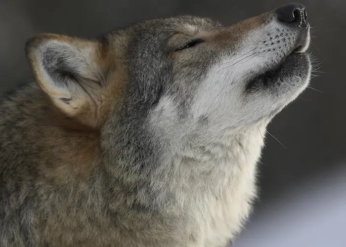Feriegårder Langedrag Naturpark