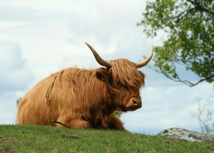 Langedrag Naturpark * Tunhovd