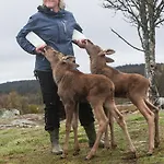 Langedrag Naturpark * Tunhovd