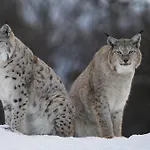 Langedrag Naturpark Bauernhof Tunhovd