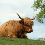 Langedrag Naturpark * Tunhovd